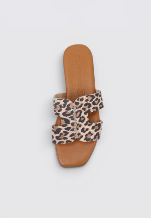 SANDRA FONTÁN LARDIZABALA  Animal Print